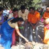 Thaipongal Festival 2019